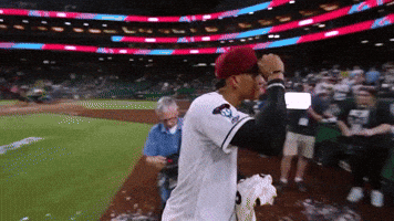 Celebrate Arizona Diamondbacks GIF by MLB