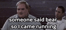 Someone Said Bear So I Came Running GIF