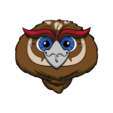 Go Owls Sticker by Florida Atlantic University