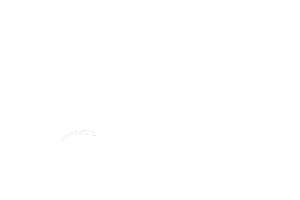 Festival Logo Sticker