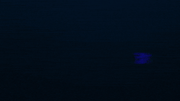 GIF by Fourtwenty