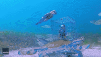 Fisherman GIFs - Find & Share on GIPHY