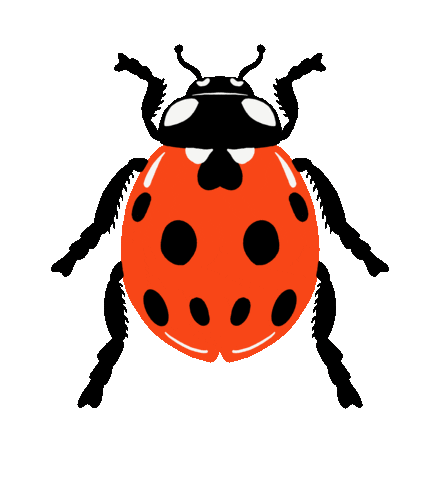 Ladybug Charm Sticker