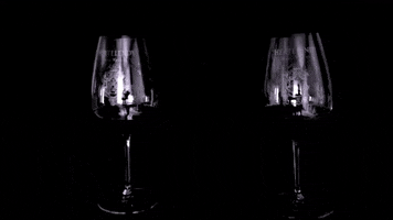 Cheers Wine GIF by Hertelendy Vineyards