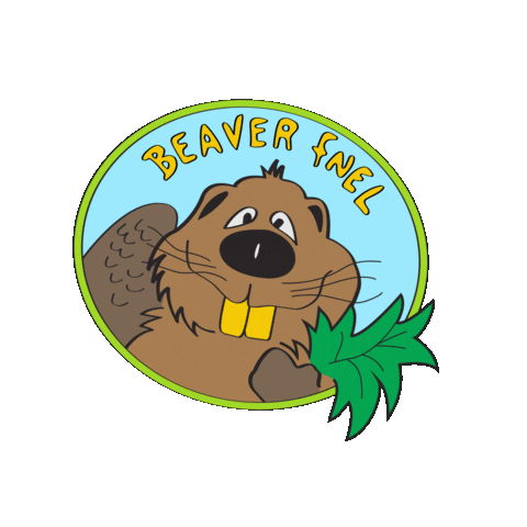 Scouts Beaver Sticker by FNEL Scouten a Guiden