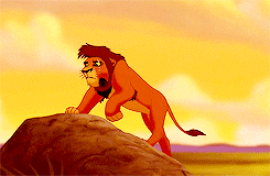 the lion king c GIF