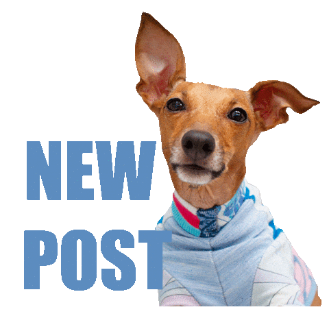 Italian Greyhound New Post Sticker by Iggy Joey