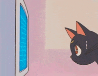 Sailor Moon Cat Gifs Get The Best Gif On Giphy