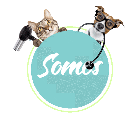 Comfortvet Sticker by Nakamura Filmes