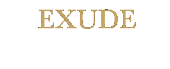 Exuderadiance Sticker by Okoko Cosmétiques