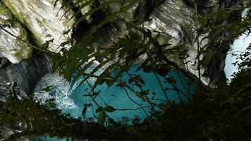 stevelordpottyreekie new zealand west coast kokatahi river gorge GIF
