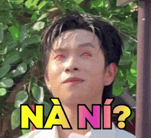 Pn GIF