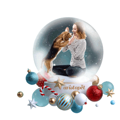 Aristopet Sticker