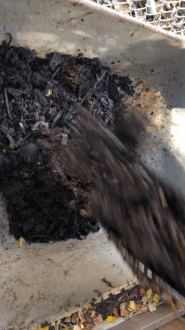 Home Community GIF by Common Ground Compost
