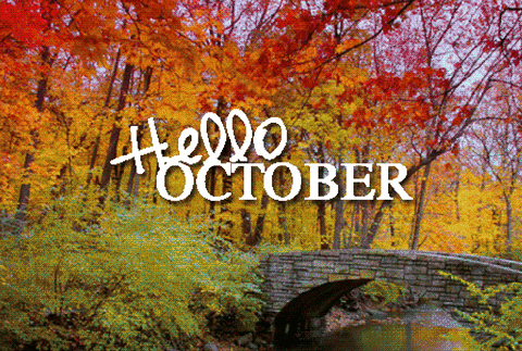 What to do this October?