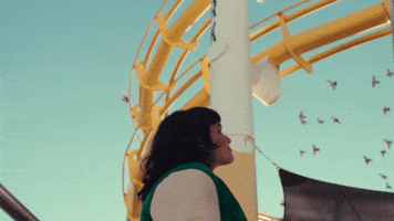 Roller Coaster Paradise GIF by Norah Jones