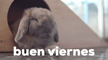 Viernes Buenos Dias GIF by Sealed With A GIF