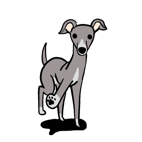 Italian Greyhound Dog Sticker by うちクリ