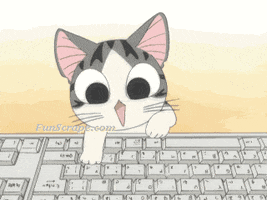 cat pictures GIF