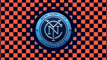 Major League Soccer Football GIF by NYCFC