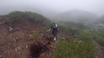vale4ka  GIF