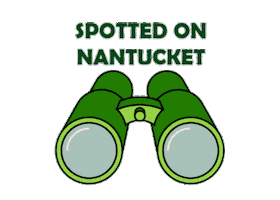 Binoculars Nantucket Sticker by Linda Loring Nature Foundation