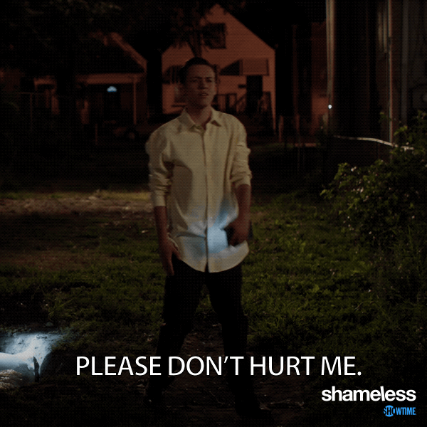 episode 5 showtime GIF by Shameless