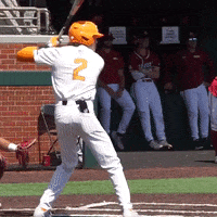 Home Run Baseball GIF by Tennessee Athletics