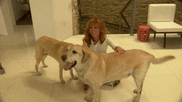 kathy griffin dog GIF by WHOSAY