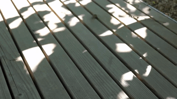 tinkla beer 2017 bier tinkla GIF