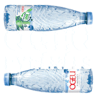 Sticker by Ogeu Pyrenees