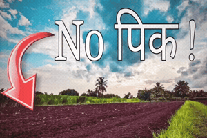 Its Peak GIF by HackerMarathi.IN