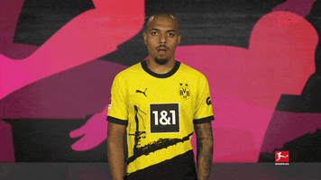 Tired Borussia Dortmund GIF by Bundesliga