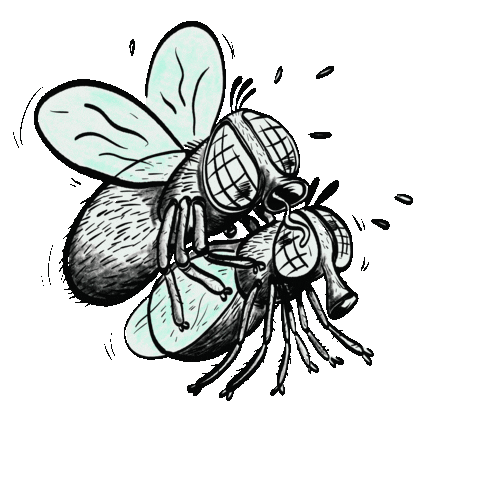 Details Flies Sticker by moovance.dance