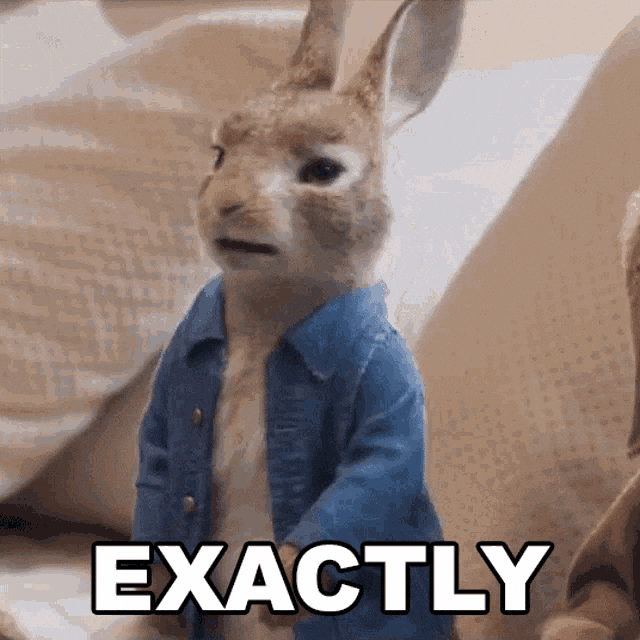 Peter Rabbit GIFs Get the best GIF on GIPHY