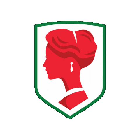 Cohoes Sticker by Spindles United Football Club