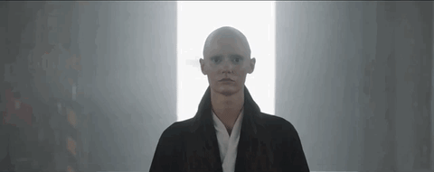 Arc Howalllivingthingsbreathe GIF