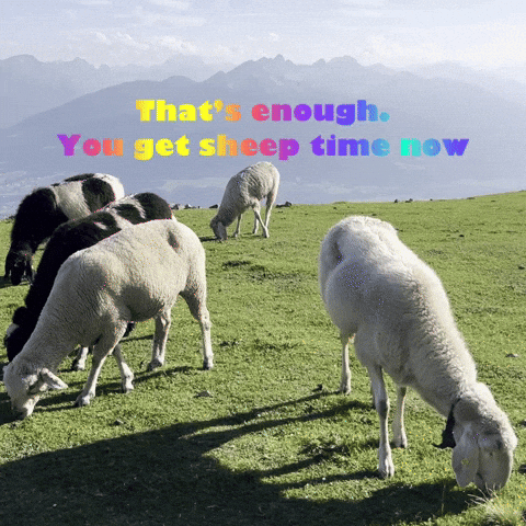 Sheep GIF