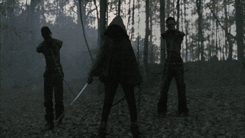the walking dead zombie walkers