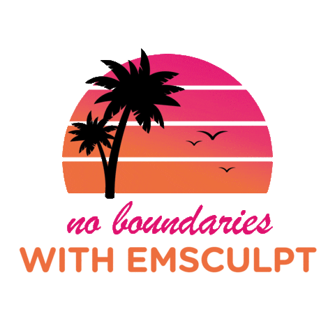 Emsculpt Sticker By Btl gif