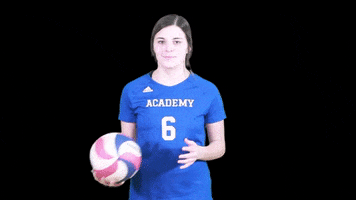 theacademyvb ball volleyball academy indy GIF