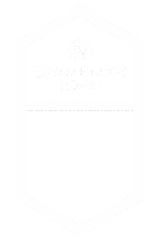 Boty2025 Sticker by Dream Finders Homes