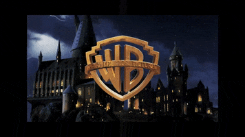 Warner Bros GIF