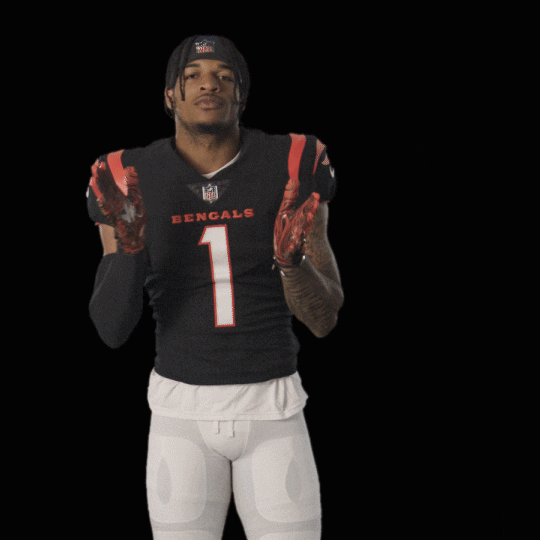 Nfl Players Football GIF COOL GIFS