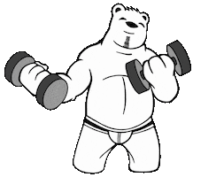 Workout Gym Sticker