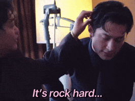 Hudson GIF
