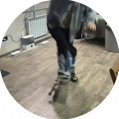 Skate Trick GIF