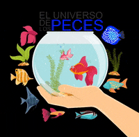 eluniversodelospeces fish pets peces aquascaping GIF