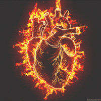 Burning Hearts GIFs - Get the best GIF on GIPHY