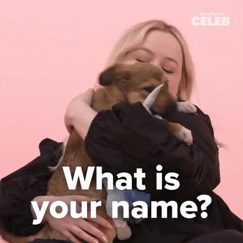 Puppy Interview Nicola Coughlan GIF by BuzzFeed